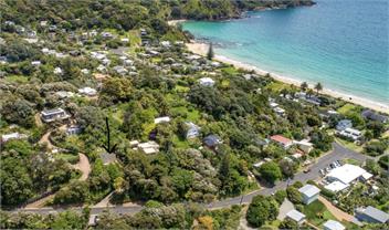 Palm Beach Gem - Waiheke Island