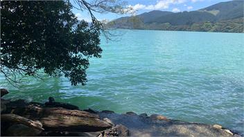 Sunny Family Style Bach/Holiday Home - Marlborough Sounds