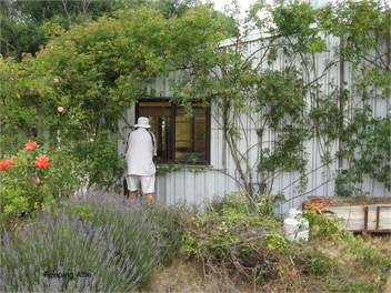 Manorburn cottage right on rail trail and at the foot of the manorburn dam - Alexandra