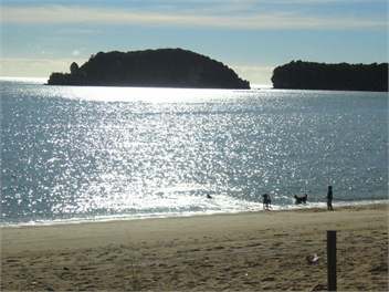 Bach in Tata Beach, Nelson/Golden Bay - Tata Beach