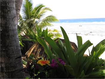 Heron's Reef Ferns Studio Apartment - Rarotonga