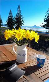 Beach Front House and Studio Unit - ohope