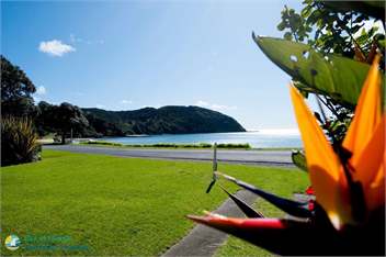 Beachside Bach - Long Beach - Bay of Islands