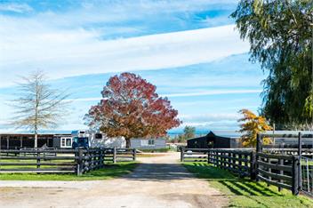 Cottage on Equestrian Estate - Hastings