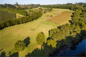 PUKETOTARA LODGE KERIKERI - Kerikeri