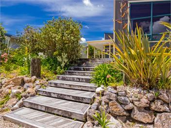Mohua (Bachcare) - Pakawau