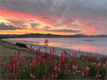 Matarangi Beachfront (Bachcare) - Matarangi