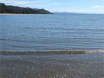 Milnthorpe Magic - Takaka 