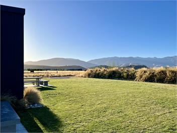 Tussock Fields - Twizel