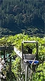 Sunny Family Style Bach/Holiday Home - Marlborough Sounds