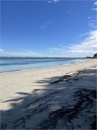Crystal Waters -