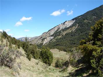 Lancewood Lodge - Mt Lyford