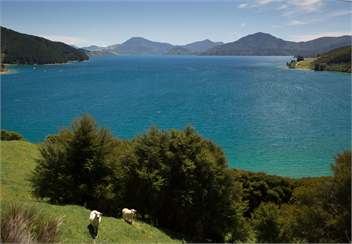 Manaroa - Marlborough Sounds