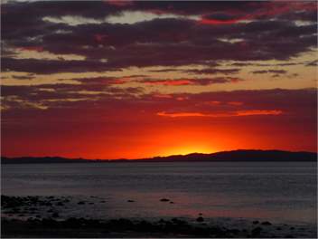 Ngarimu Bay - Ngarimu Bay