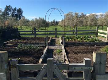 The Orange Door - Martinborough