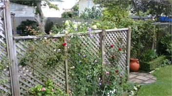 59 Chaucer Apartment - Cambridge 3432