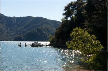 Aroha - Bythell's Bay / Spectacular Holiday Home for Families - Queen Charlotte Sound