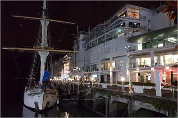 ✨Studio Apt in Auckland✨ Viaduct Harbor, 24/7 Security & Free Wifi - Auckland
