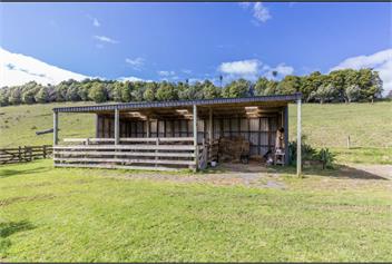 Kotuku Sanctuary - Kerikeri