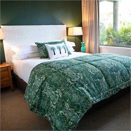 One Bedroom Suite  - Auckland 