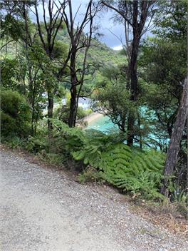 Te Mahia "The Boat Shed" - Marlborough Sounds