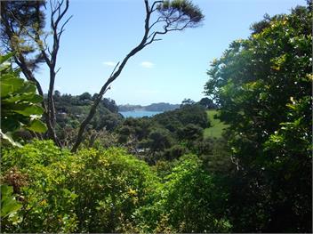 Bush Beach Delight (Bachcare) - Onetangi