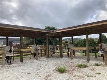 Westhay Stables (Bachcare) - Paparoa