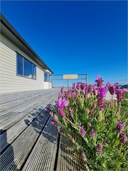 Island Bush Farmstay - Tokanui