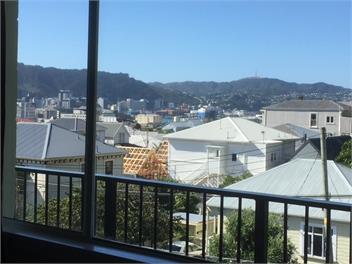 Sunny, quiet flat in Mt Victoria - Wellington 