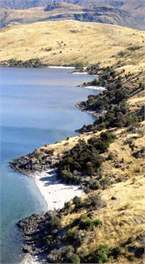 Lakefront Gem - exclusive-use retreat - Wanaka 9382
