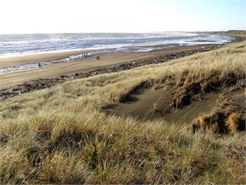 Sunset Cottage - Wanganui