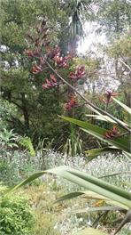 Heron Retreat for Two,Tukituki River, Havelock North - HAWKE'S BAY