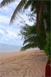 Tarani Beach Studio : air conditioned. With FREE Wifi - Rarotonga. Cook Islands