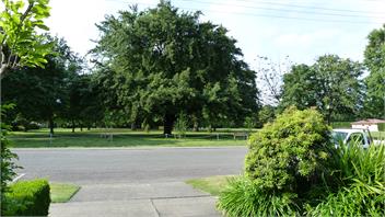 Luxurious Parkside Studio - Blenheim