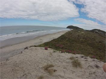 Slice of Heaven Bowentown Waihi Beach - Waihi Beach