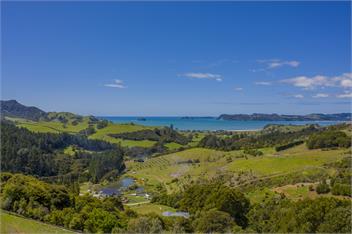 The Tui Suite - Bayview Valley Lodge - Whitianga