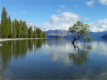 Wanaka Tranquility (Bachcare) - Wanaka