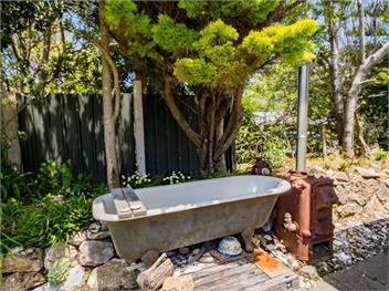 Mohua (Bachcare) - Pakawau