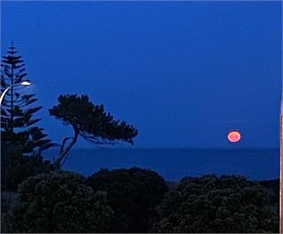 Sunrise, Seaviews and BBQs (Bachcare) - Papamoa