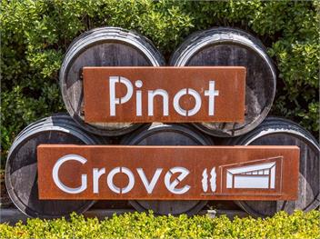 Pride of Pinot (Bachcare) - Martinborough