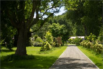 Rose Cottage - Masterton