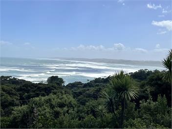 Manu bay living the dream - Raglan
