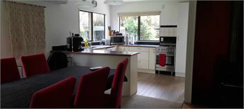 Rural Bay of Islands 1 acre with two blue heelers, 13 min Kerikeri 25 minutes by car to Paihia - Kerikeri