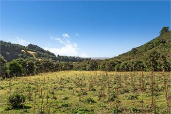 Hill Cottage (Bachcare) - Featherston