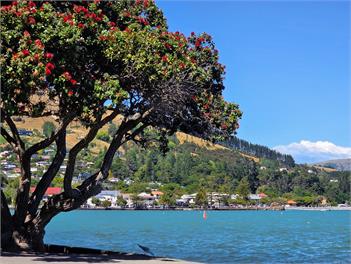 Seaview Akaroa - Akaroa