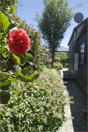 Arrowtown - modern 3 bedroom/2 bathroom holiday home - Wakatipu