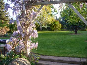 Dunstan View Cottage - Cromwell 