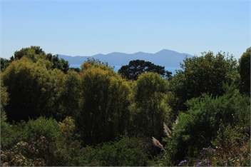 Springhill Garden Apartments - Porirua