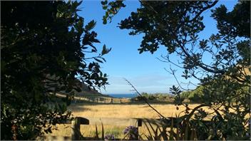 "The Stables " Te Awaiti Station - Martinborough