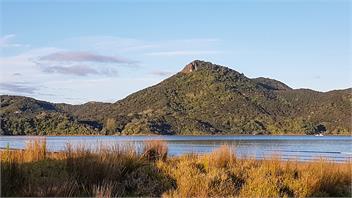 Beachfront Paradise at "Pukeko Retreat" - Kennedy Bay, Coromandel
